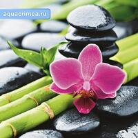 Шторка в ванную комнату, фотопечать "БАМБУК с ЦВЕТКОМ"